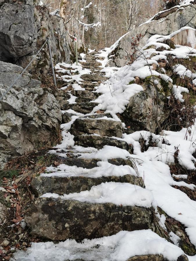 An Der Alten Saege *