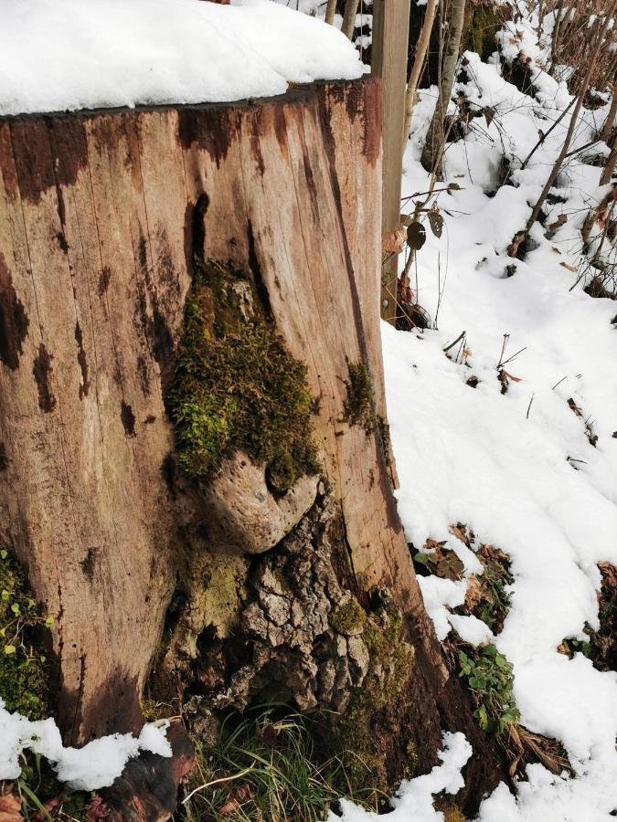 Appartamento An Der Alten Saege *