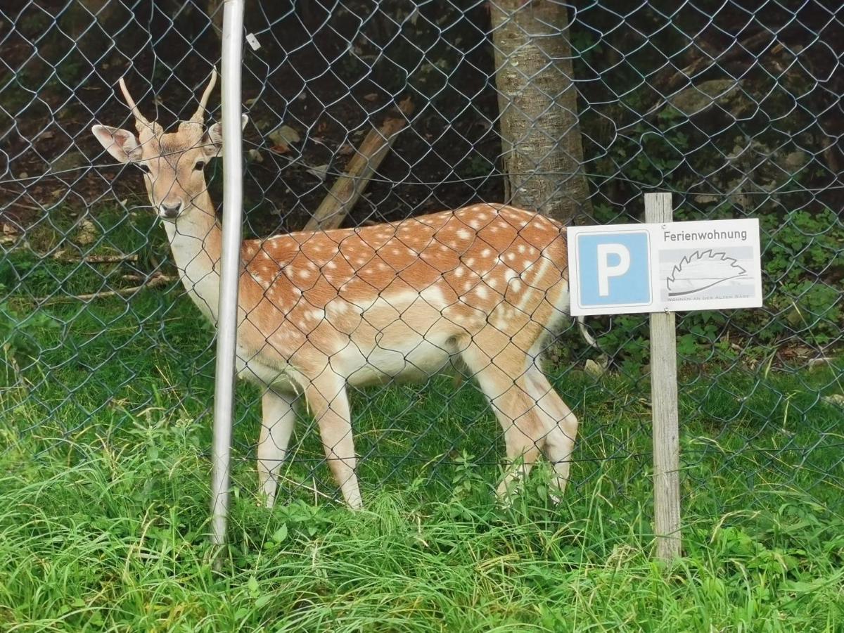 An Der Alten Saege Bezau
