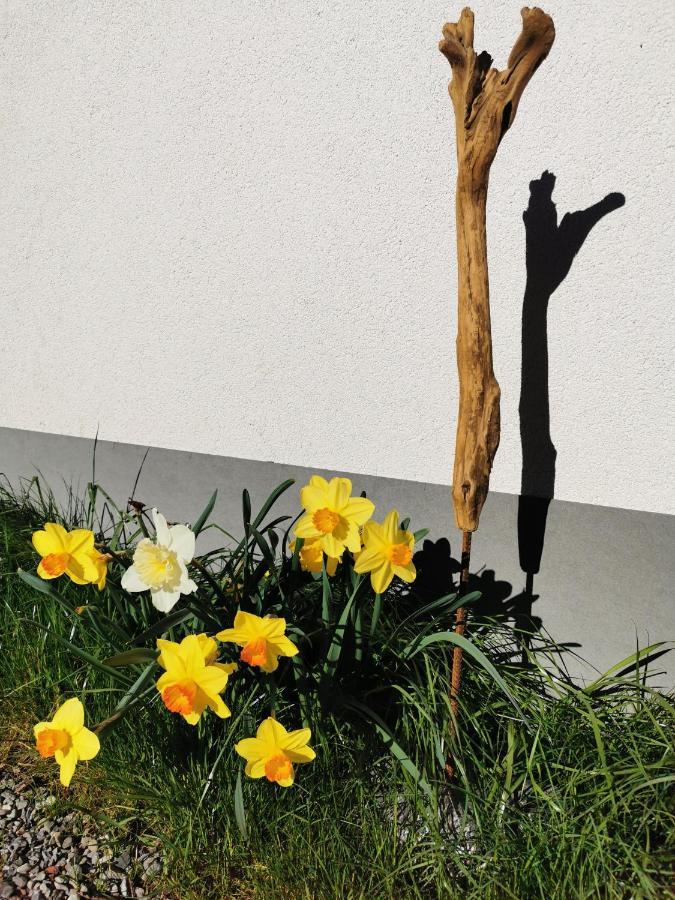 An Der Alten Saege Appartement *